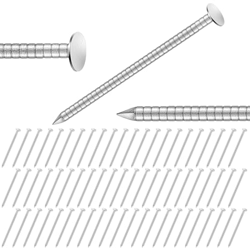 Tandefio 1-3/4 Inch 2 Pounds Roofing Nails 304 Stainless Steel Roofing Felt Nails Flat Head Hardware for Shingles, Cedar Wood, Decking, Wall (Silver) Silver