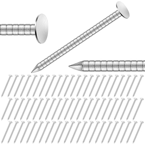 Tandefio 1-1/4 Inch 2 Pounds Roofing Nails 304 Stainless Steel Roofing Felt Nails Flat Head Hardware for Shingles, Cedar Wood, Decking, Wall (Silver) Silver