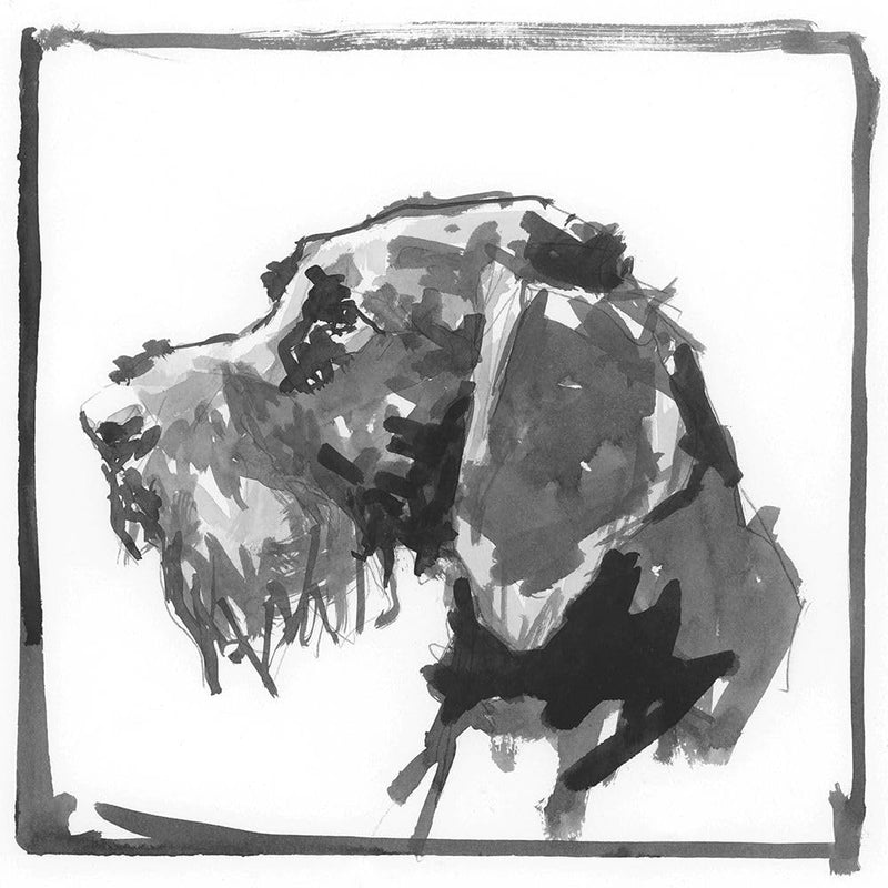 German Wire-Haired Pointer Poster Print - Cartissi (24 x 24)