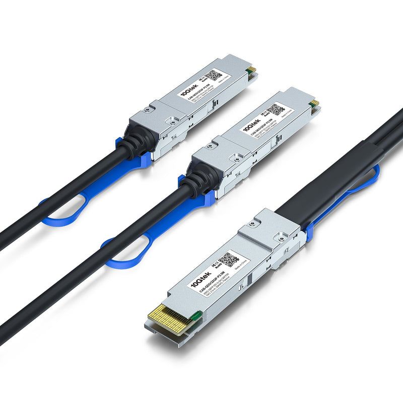 10Gtek 200GbE to 2x100GbE Splitter DAC, QSFP-DD to 2xQSFP28 (8CHx25G to 2x4CHx25G), 2.5-Meter 2.5m★SALE★ For OEM 200G QDD-2ZQP