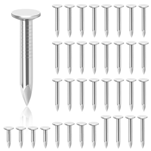 Glarks 300Pcs 1-1/4inch Steel Roofing Felt Nails Zinc Plated Roofing Felt Pins Clout Nails Countersunk Head Felt Nails, for Securing Shed Roofs, Roofing Felt Slate Boards, Wood Shed Tiles 30MM