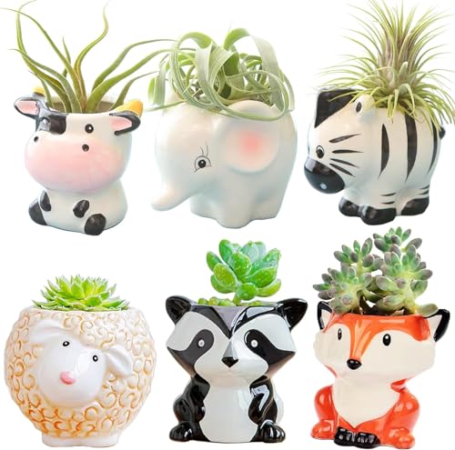 Melphoe Succulent Tools and Ceramic Succulent Pots