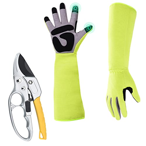 pruning shears & gardening gloves