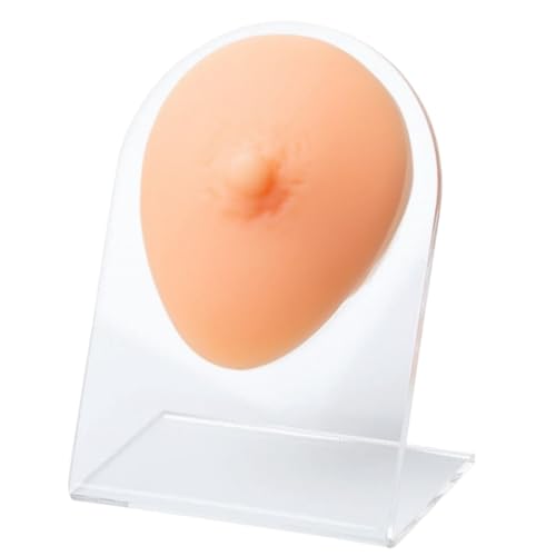 Silicone Nipple Model with Acrylic Stand, Fake Boob Flexible Human Mould, Body Parts for Practicing Piercing, Acupuncture Jewelery Display, Simulation Body Model (Nude)