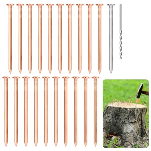 20 Pcs Copper Nails for Killing Trees, Stumps & Roots, 3.15 Inch Long Pure Copper Nails Bulk, Stump Removal Spikes with 1 Pcs 3.15 Inch Long Steel Nail and 1 PCS Drill (3.15 inches) 3.15 inches