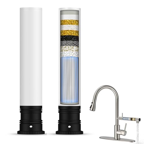 FEELSO Kitchen Faucets with Filter + 2 Pack Replacement Filters FL1