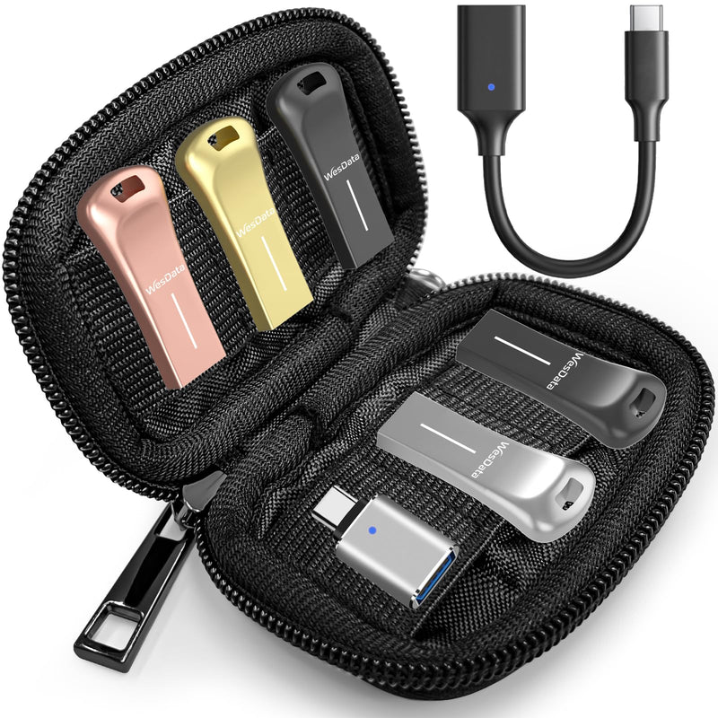 5-Pack 64GB Small USB Flash Drives with 2 USB C Adapters in Portable Carrying Case, Zinc Alloy Metal Shell, 4 Colors, Thumb Drive, Memory Stick, Pen Drive for PC/Mac/Phone/Laptop/Car