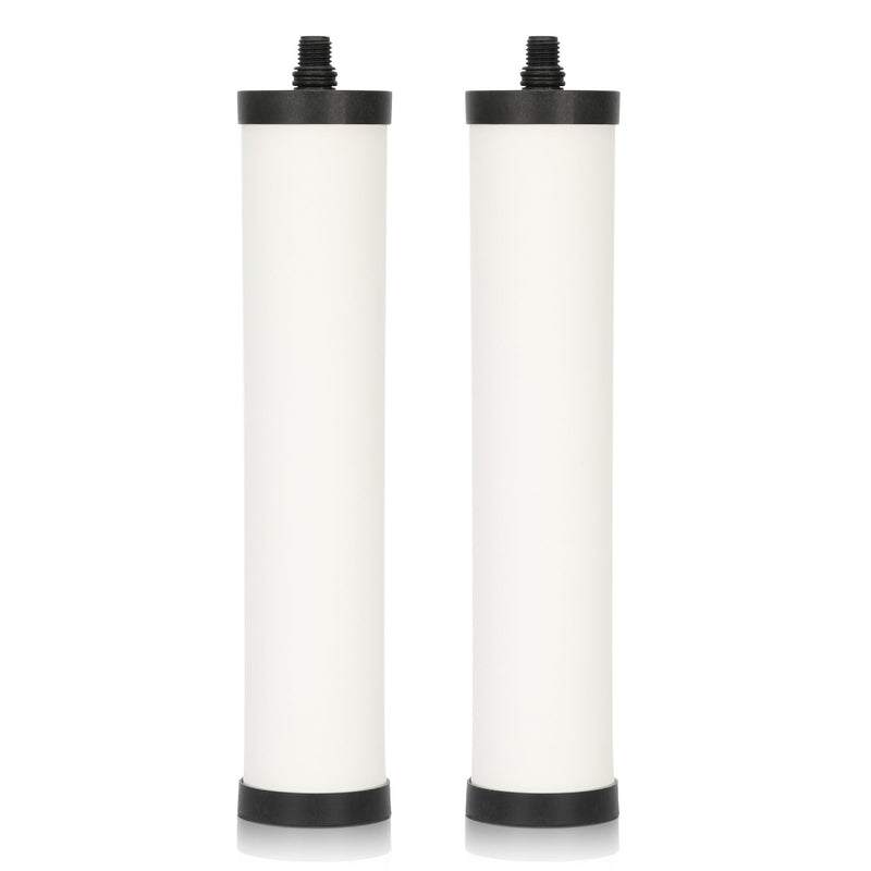 FRC06 Filter Cartridge, FRC06 Filter Replacement for Franke Water Filter, Filters Compatible with Franke FRCNSTR/FRC06 and FRCNSTR100/FRC06FRC06 Filters (2 PACK） 2 PACK