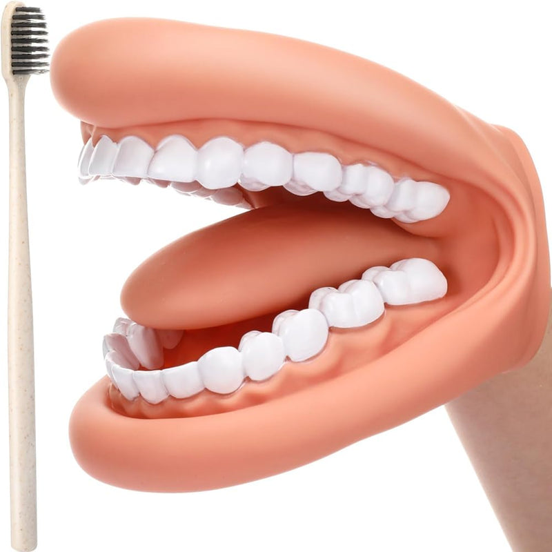 1 Piece Mouth Puppet with Tongue Teeth Mouth Hand Puppet Tooth Mouth Model with Toothbrush for Girls Learning Tool