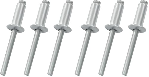 100 Pcs 1/4" x 3/4" Aluminum Blind Rivets Dome Head Pop Rivets for Installing Accessories, Silver (Pack of 2) 1/4" x 3/4", 100Pcs (Pack of 2)