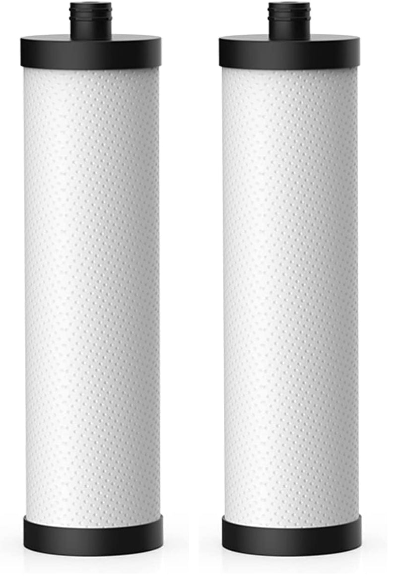 Frizzlife PLC10 Replacement Filter For FK99/FP99/SW10/SW10F Under Sink Water Filter (Pack of 2) 1 Count (Pack of 2)