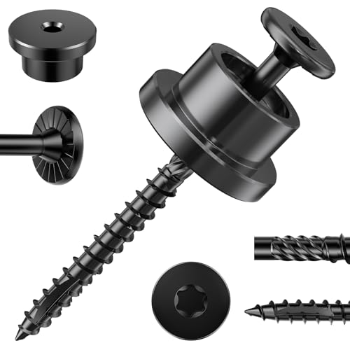 Carbon Steel Cap Nuts and Screw Assortment 16