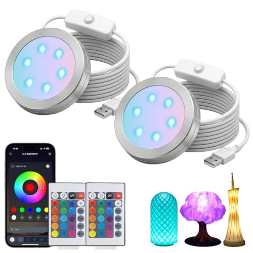 Smart RGB LED Lamp Kit 001 for Bambu Lab, App & IR Remote Control | 16 million colors, timer and group control, 60mm LED puck with 1.5M 5V USB cable for MakerWorld lamp models 2 pieces & 2 remote controls