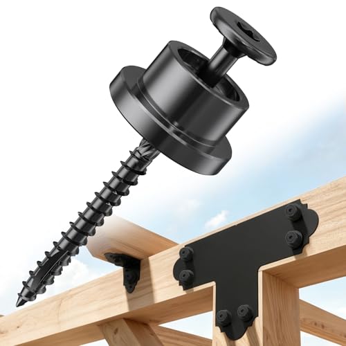 FMhotu Carbon Steel Nut and Screw Assortment,48pcs 1" Nuts and 50pcs #14 x 2-7/8" Wood Screws