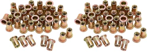 100pcs M6 Rivet Nuts, M6 Flat Head Rivnut Threaded Insert Nuts with Knurled Body, Metric Zinc Plated Carbon Steel Insert Nutsert for Automotive, Furniture, Decoration Brand: PRECIHW (Pack of 2) M6 (Pack of 2)