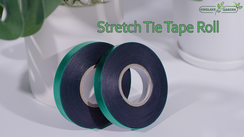 KINGLAKE GARDEN Stretch Tie Tape Roll-4 Rolls Total 600 Feet 1/2" Green Garden Tape,Plant Ribbons Plant Garden Tie for Branches, Climbing Planters, Flowers (Pack of 3) 600 Feet (Pack of 3)
