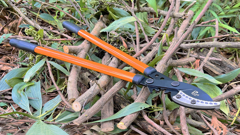 Anvil Lopper 29 Inch with Geared Sync Drive, Pruners for Gardening and Tree Trimmer, Branch Cutter Heavy Duty for 2 Inch Cutting Capacity, Chops with Ease