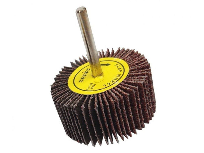 Set of flap sanders 40 mm x 30 mm 6 mm handle sanding heads for drills flap sander grit 40-120 selectable for metal and wood (10, P100) 10