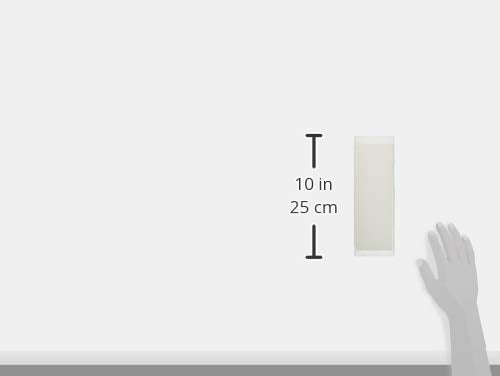 NANIWA GOUKEN Whetstone KAGAYAKI NK-2091/Super Finishing #12000,10mm stone w/Clear Base Grit ＃12000-10mm