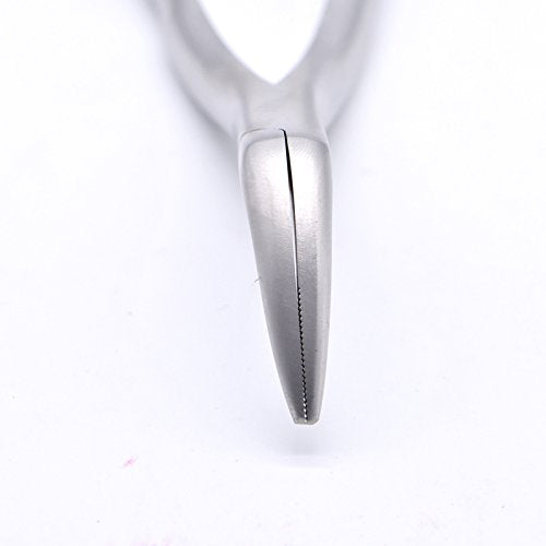 Dental Tooth Extraction Forcep for Root Fragment Minimally Invasive Dental Instrument Curved Forcep (Maxillary and mandibular teeth) 1 Count (Pack of 1)