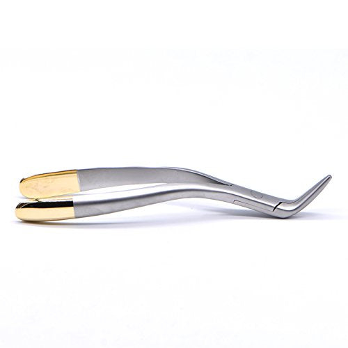 Dental Tooth Extraction Forcep for Root Fragment Minimally Invasive Dental Instrument Curved Forcep (Maxillary and mandibular teeth) 1 Count (Pack of 1)