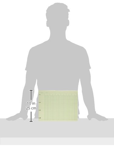 Wilson Jones G1020 Accounting Sheets, 20 Column, 9-1/4 x 11-7/8, Green (Pack of 100 Loose Sheets)