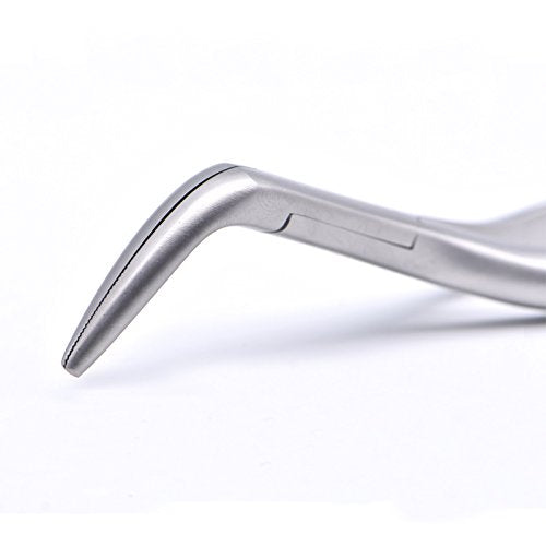 Dental Tooth Extraction Forcep for Root Fragment Minimally Invasive Dental Instrument Curved Forcep (Maxillary and mandibular teeth) 1 Count (Pack of 1)