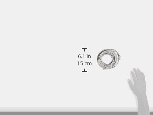 Belkin A3L791-30-S Patch Cable - RJ-45 - Male - RJ-45 - UTP (Cat 5)