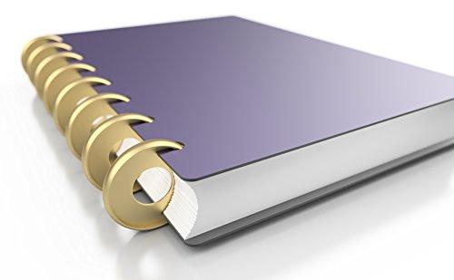 Discagenda Aluminum Disc-Binding Discs 33mm 1.3in 8 Piece Set Gold 8 Piece 1.3in