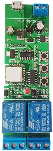 Newgoal Wireless Jog Relay momentary/self-Locking Switch Module DIY Smart Home Remote Control WiFi Relay Switch Ewelink App Compatible with Alexa Echo Google Home IFTTT (DC2) DC2