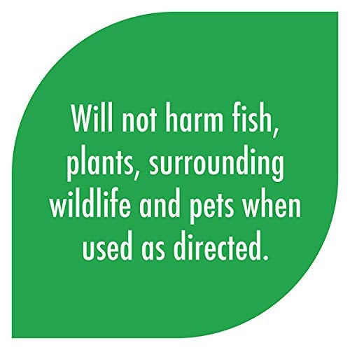 API POND ALGAEFIX Algae control, Effectively controls Green water algae, String or Hair algae and Blanketweed, Use as directed when algae blooms and as regular care 16 Fl Oz (Pack of 1)