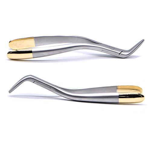 Dental Tooth Extraction Forcep for Root Fragment Minimally Invasive Dental Instrument Curved Forcep (Maxillary and mandibular teeth) 1 Count (Pack of 1)