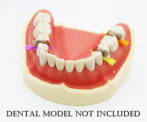 Dental Wedge Guard with Metal Plastic Knife and Protection Matrix for Teeth Interproximal Area 50pcs/box (LARGE) Large