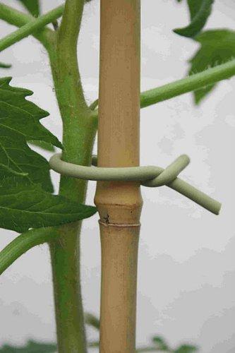 Tierra Garden 50-3010 Haxnicks Slim Soft Tie for Plants & Trees, 26.3', Green 26.3'