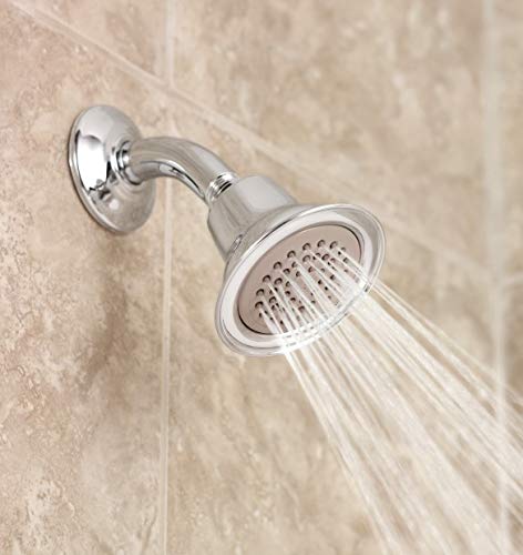 Moen 6313 Chrome One-Function 3-1/2" Diameter Spray Head Eco-Performance Showerhead