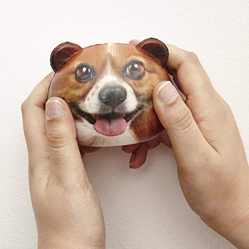 Kikkerland Dog Stress Balls - Assorted Faces