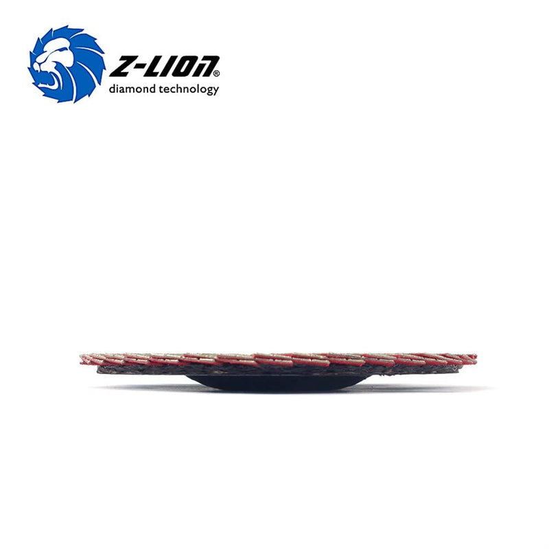 Z-LION 2 Pcs 4" Flap Sanding Disc Diamond Electroplated Grit 60 Sanding Sandpaper Wheel 4 inches
