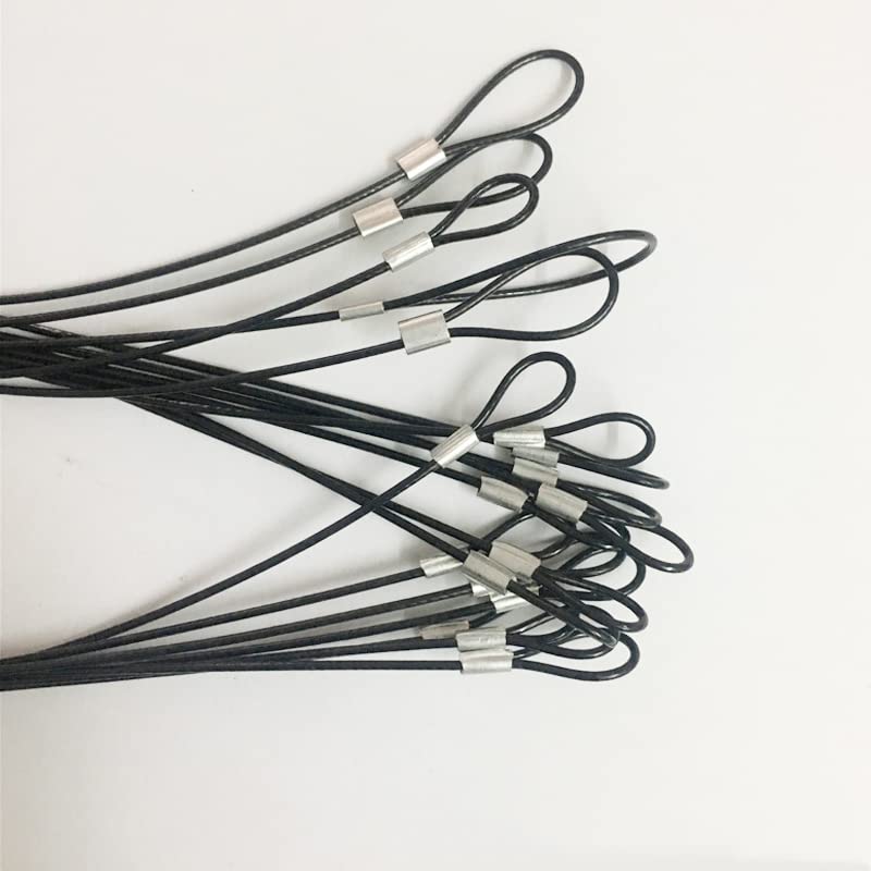 DSBGKJI 20 PCS 7.8"(20cm) Stainless Steel Wire Rope Lanyard Cable Tether Safety Strap, 2 Loops w/ Black Coating for Loss Prevention,Locking,Hanging Picture,Light,Objects