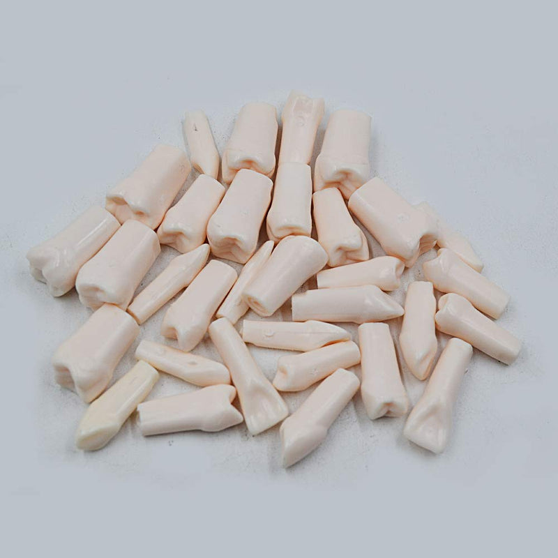 32pcs Removable Teeth Piece for Typodont Teeth Model Compatible with Kilgore Nissin for Teaching, Study