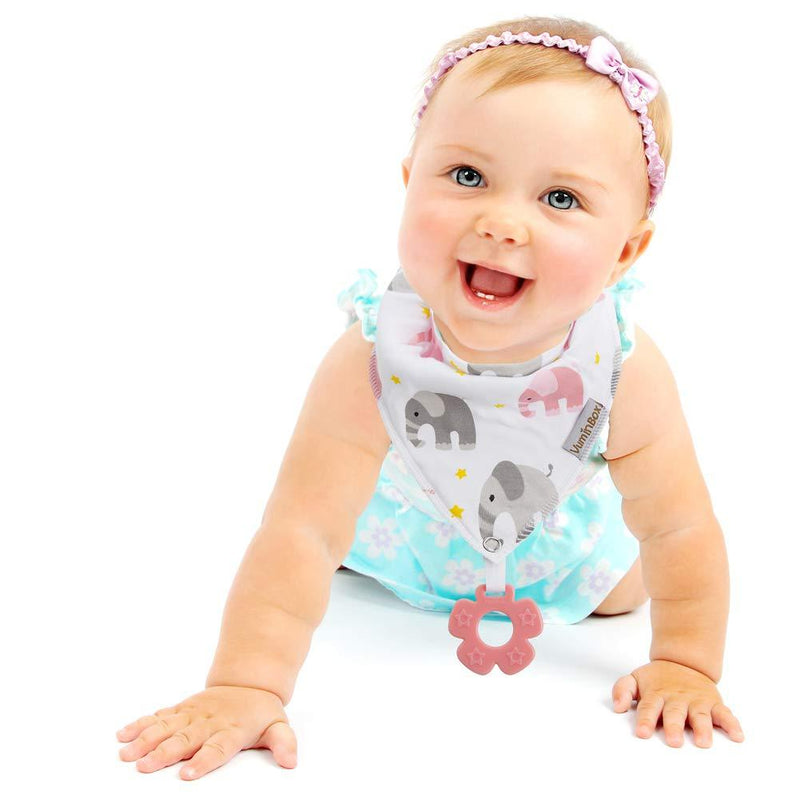 Baby Bandana Drool Bibs 6-Pack and Teething Toys 6-Pack Made with 100% Organic Cotton, Absorbent and Soft Unisex (Vuminbox) (6 - Pack Girl) Pink