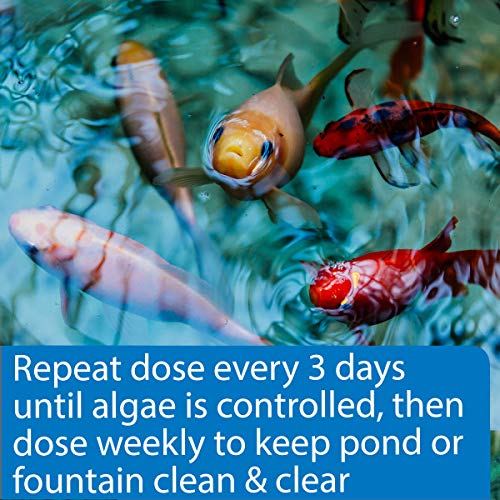 API POND ALGAEFIX Algae control, Effectively controls Green water algae, String or Hair algae and Blanketweed, Use as directed when algae blooms and as regular care 16 Fl Oz (Pack of 1)