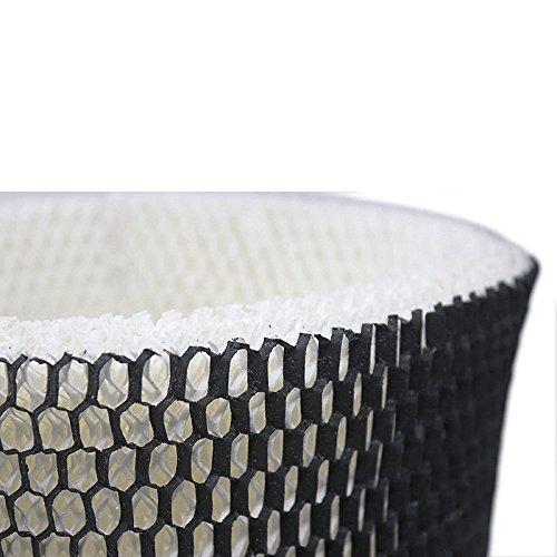 ANTOBLE 2 Pack Humidifier Filter for Holmes HWF64 HWF64CS, Model HM1730, HM1745, HM1746, HM1750, HM2200 - Filter B