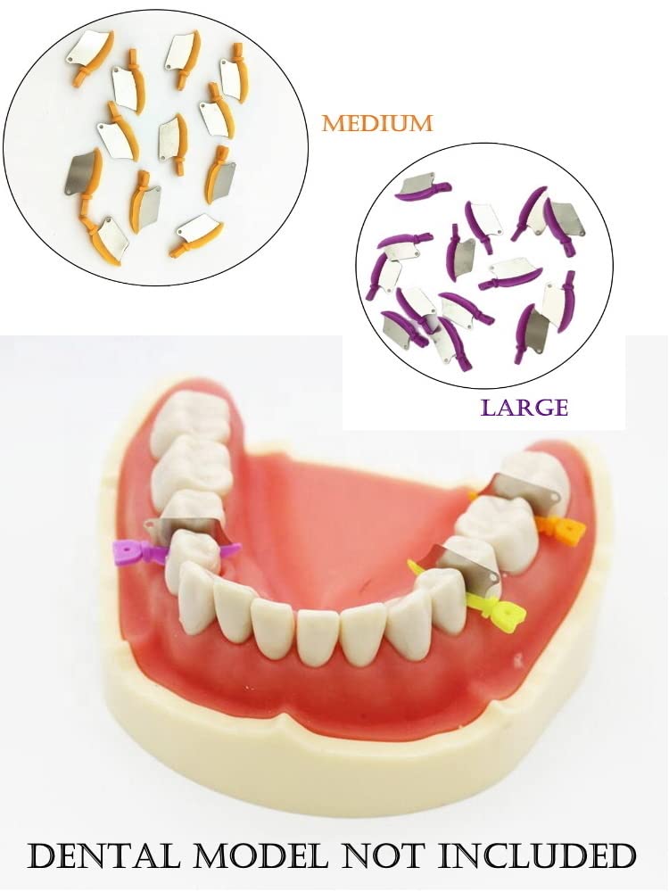 Dental Wedge Guard with Metal Plastic Knife and Protection Matrix for Teeth Interproximal Area 50pcs/box (LARGE) Large