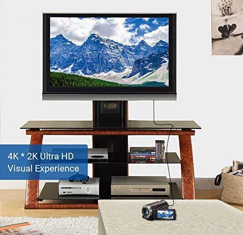 BlueRigger Micro HDMI to HDMI Cable (6 FT, 4K 60Hz, HDR, High Speed, Ethernet) - Compatible with GoPro Hero 7/6/5/4, Raspberry Pi 4, Sony A6000/A6300 Camera, Nikon B500, Lenovo Yoga 3 Pro, Yoga 710 6FT