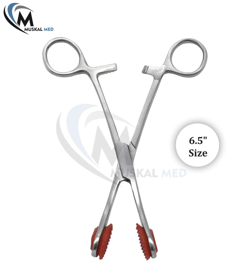 MuskalMed Young Tongue Seizing Forceps 6.5" Straight Handle Stainless Steel with Soft Rubber Jaws
