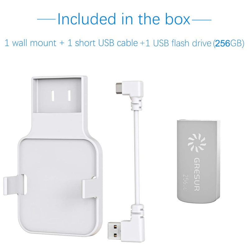 256GB Blink USB Flash Drive for Local Video Storage with The Blink Sync Module 2 Mount (Blink Add-On Sync Module 2 is NOT Included) 256 GB + 1 Pack White