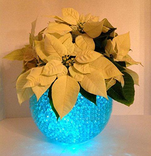 Neo LOONS® 50pcs/lot 50 X Blue Round Led Flash Ball Lamp Balloon Light Long Standby time for Paper Lantern Balloon Light Party Wedding Decoration Blue 50 Pcs