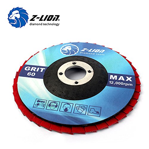 Z-LION 2 Pcs 4" Flap Sanding Disc Diamond Electroplated Grit 60 Sanding Sandpaper Wheel 4 inches