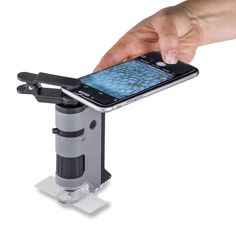 Carson MicroFlip 100x-250x pocket microscope with smartphone adapter for photos and videos (MP-250)