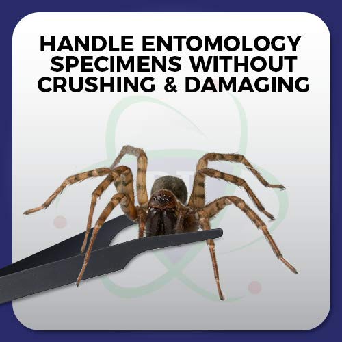 DR Instruments Entomology Forceps Precision Points for a Delicate Entomology Work. Flexible Stainless-Steel - Bendable (Rainbow Titanium) Rainbow Titanium